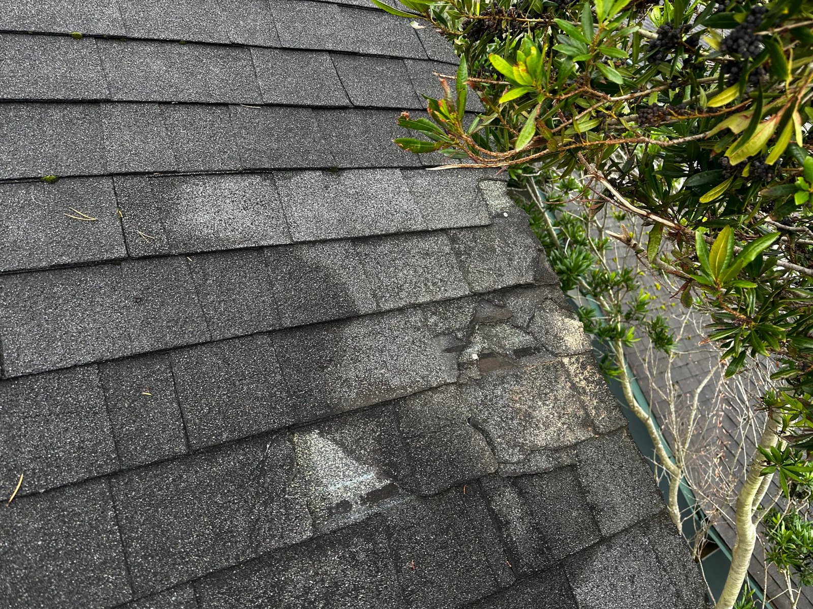Replacing Damaged Shingles
