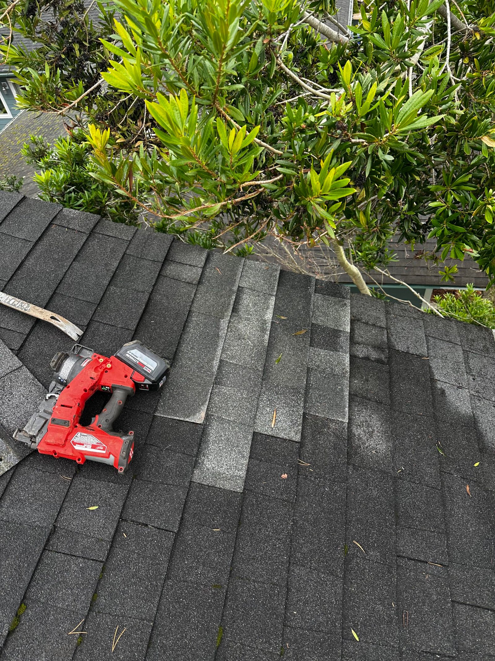 Replacing Damaged Shingles